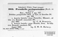 Parodiella perisporioides image